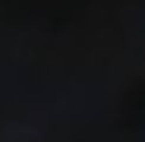 Meet your Posher, Izzy